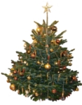 Christbaum