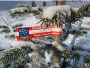 Banderole auf Baum